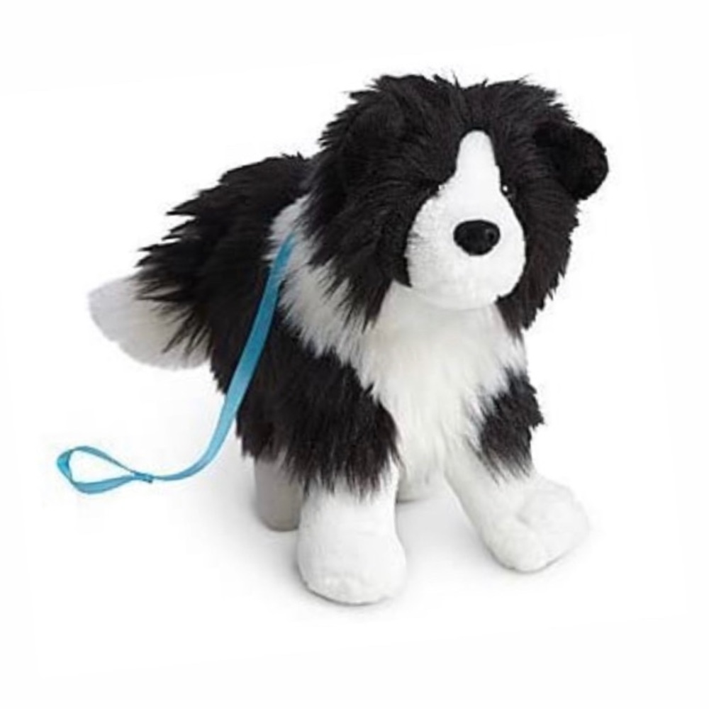 AG Dog Rembrandt